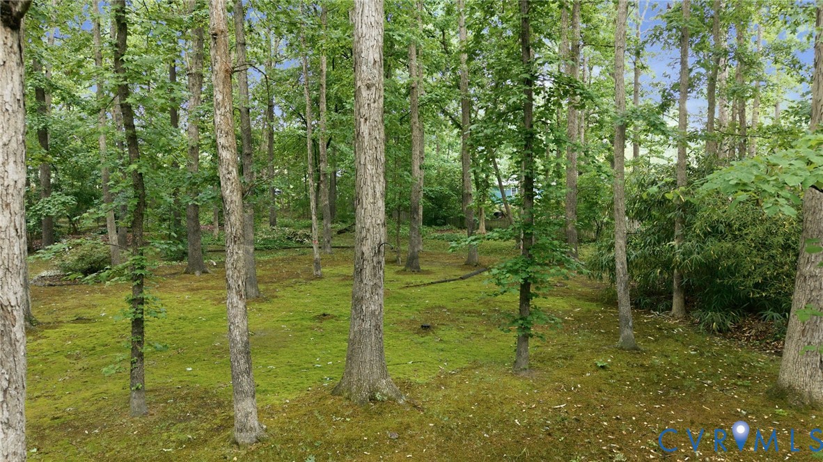 11735 South Briar Patch Drive Midlothian, VA 23113 - Photo 47 of 48 a view of an outdoor space and trees