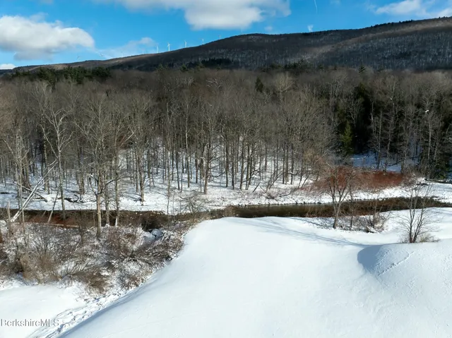 a view of a lake with a mountain