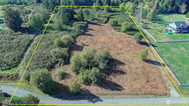 a view of a garden with a pathway