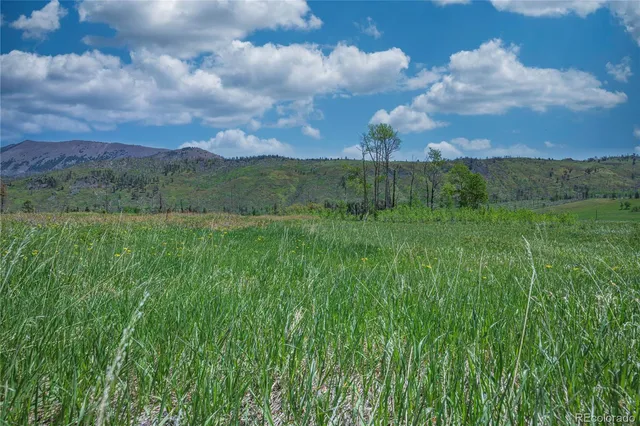 a view of an lush green mountain