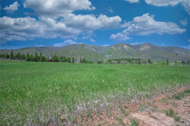 a view of an outdoor and trees