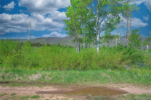 $44,900 | Paradise Acres La, Gardner, CO 81040