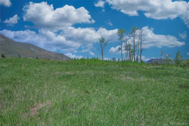 a view of a city with lush green forest