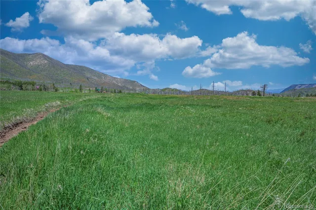 a view of a city and mountains in a field