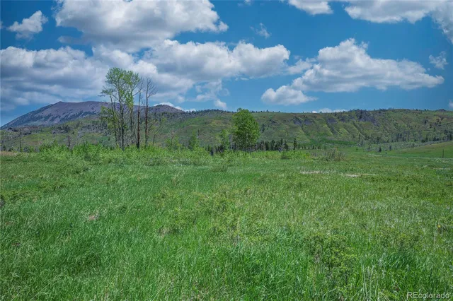 a view of a green field with mountains in the background
