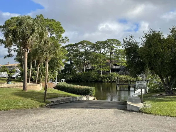 a view of a yard with trees