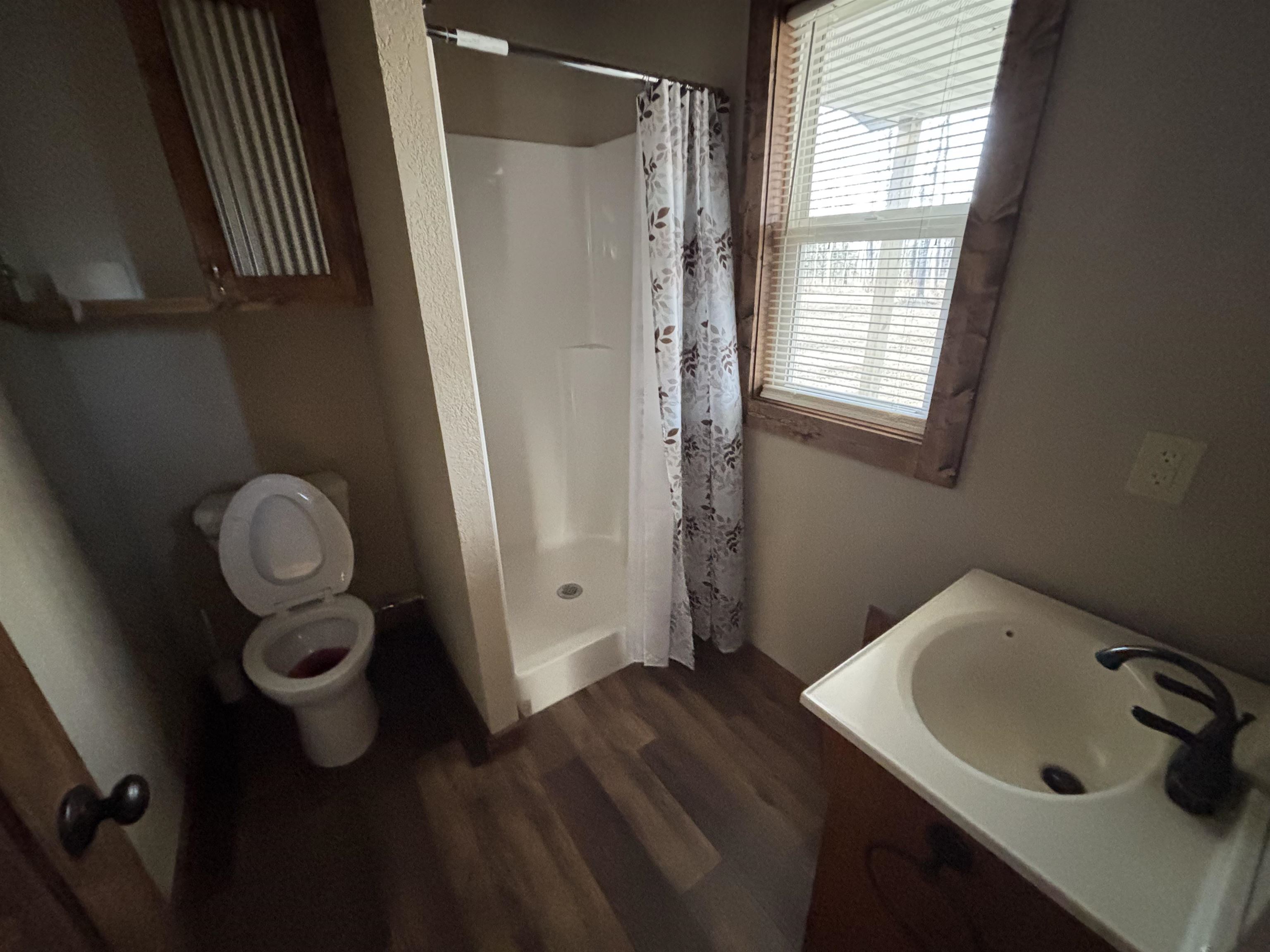 3746 South Hughes Road Hibbing, MN 55746 - Photo 6 of 10 Bathroom with a shower stall, vanity, and dark wood-type flooring