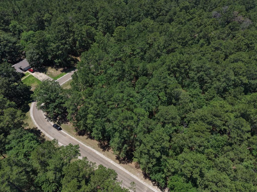 Lot 19 B H Carroll Street Trinity, TX 75862 - Photo 5 of 14