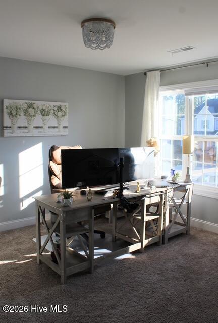 410 West Huckleberry Way Rocky Point, NC 28457 - Photo 44 of 67 IMG_6779-1