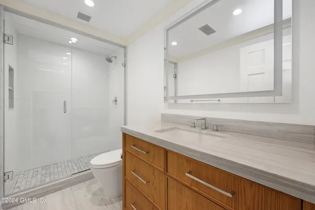 a bathroom with a granite countertop sink a toilet and a shower
