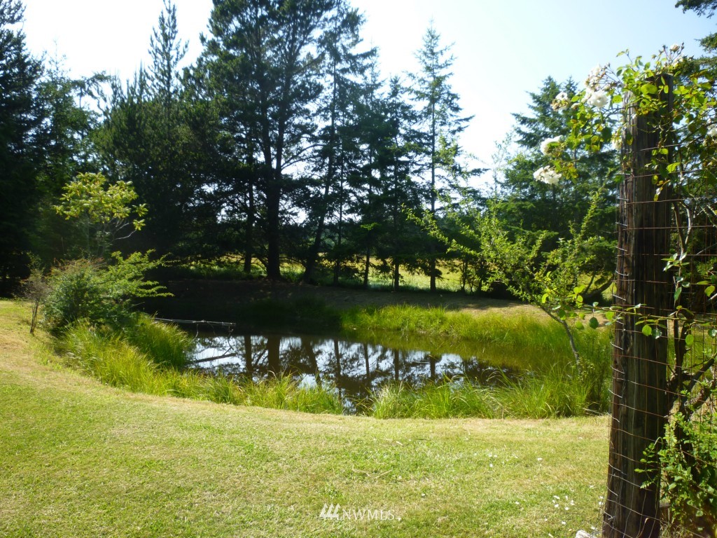 305 Halsey Road Friday Harbor, WA 98250 - Photo 13 of 17 Gallery Image 13