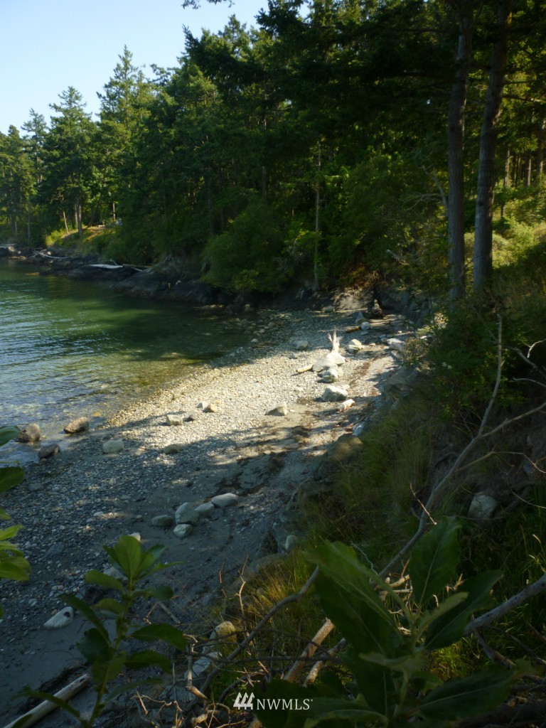305 Halsey Road Friday Harbor, WA 98250 - Photo 15 of 17 Gallery Image 15