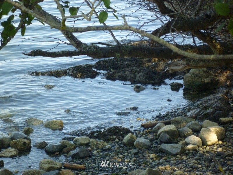 305 Halsey Road Friday Harbor, WA 98250 - Photo 10 of 17 Gallery Image 10