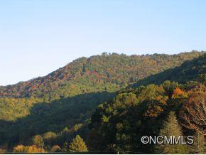 303 Palmer Road Waynesville, NC 28786 - Photo 2 of 10 Gallery Image 2