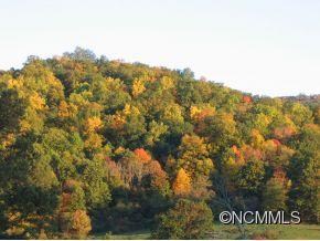 303 Palmer Road Waynesville, NC 28786 - Photo 3 of 10 Gallery Image 3