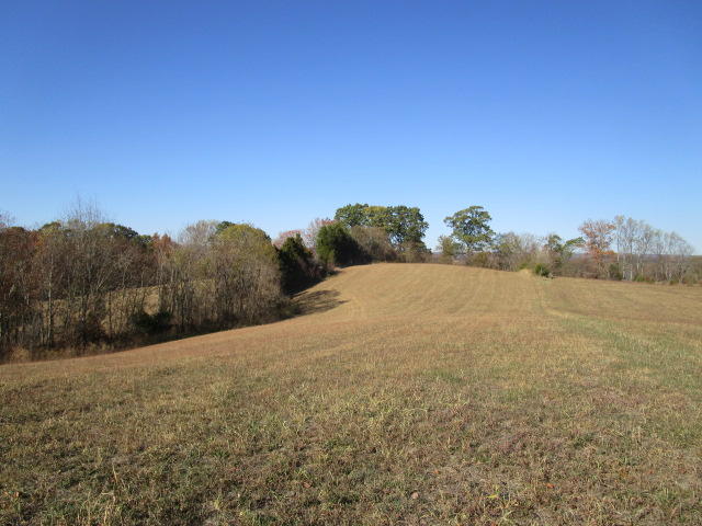 Kenneth Roach Lane Rutledge, TN 37861 - Photo 2 of 6 IMG_0948