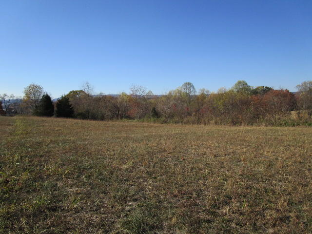 Kenneth Roach Lane Rutledge, TN 37861 - Photo 4 of 6 IMG_0949