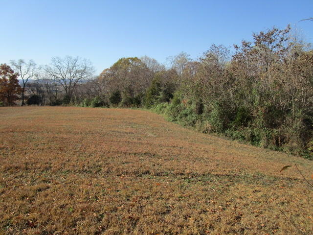 Kenneth Roach Lane Rutledge, TN 37861 - Photo 5 of 6 IMG_0950