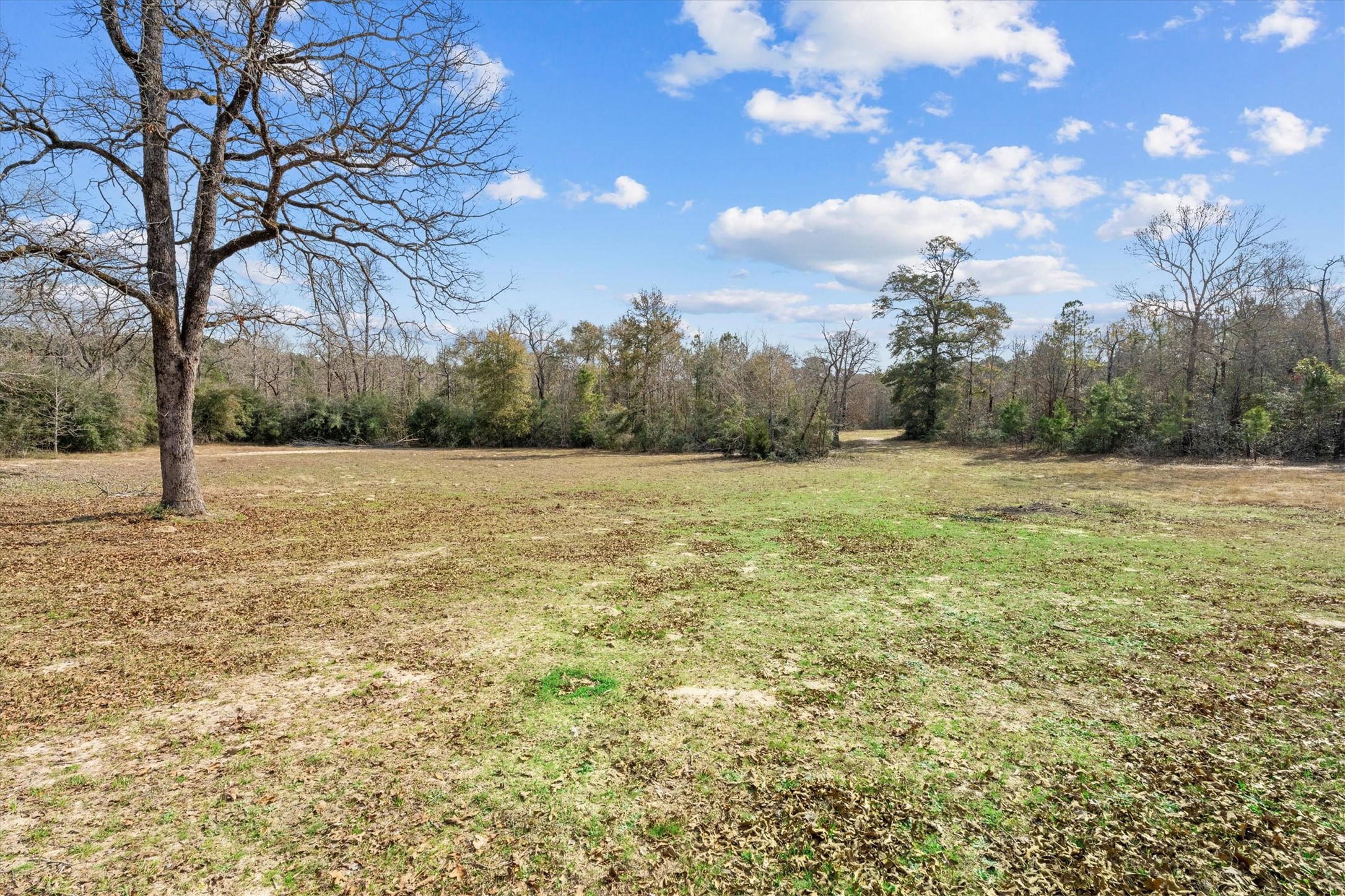 12848 Old Little Road Conroe, TX 77303 - Photo 27 of 46
