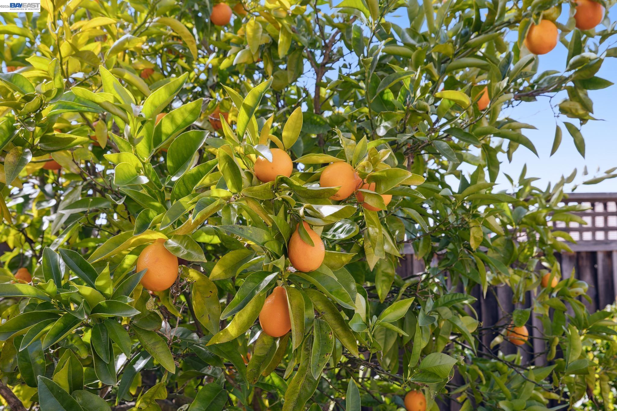 73 Stonebrae Road Hayward, CA 94542 - Photo 5 of 60