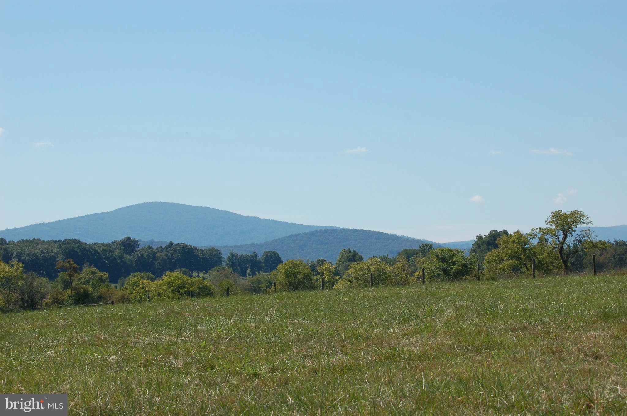 1654 Milldale Road Front Royal, VA 22630 - Photo 4 of 18 View