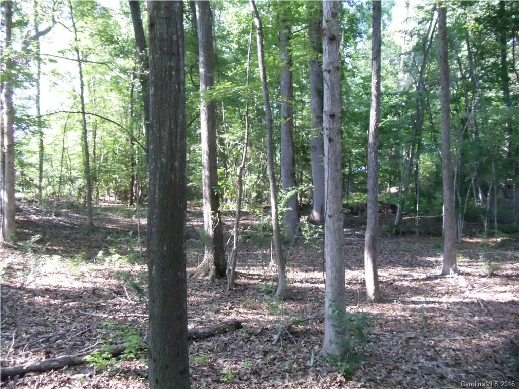 0 Reese Wilson Road Belmont, NC 28012 - Photo 14 of 24 Gallery Image 14
