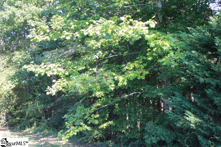 Six Mile Sc 29682 Road, Unit 5 Six Mile, SC 29682 - Photo 7 of 10 Gallery Image 7