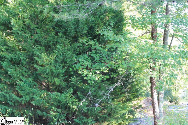 Six Mile Sc 29682 Road, Unit 5 Six Mile, SC 29682 - Photo 8 of 10 Gallery Image 8
