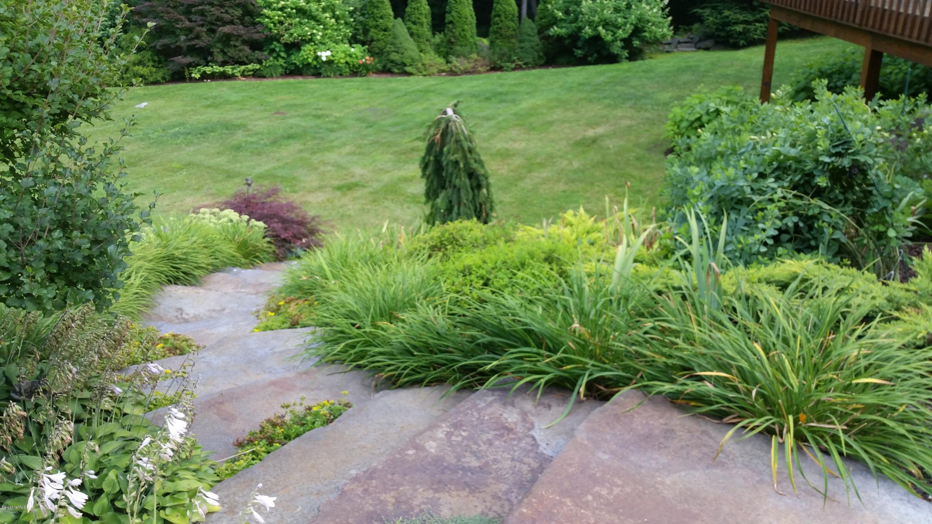 116 Otis Road Becket, MA 01223 - Photo 18 of 29 a view of a garden with a plant