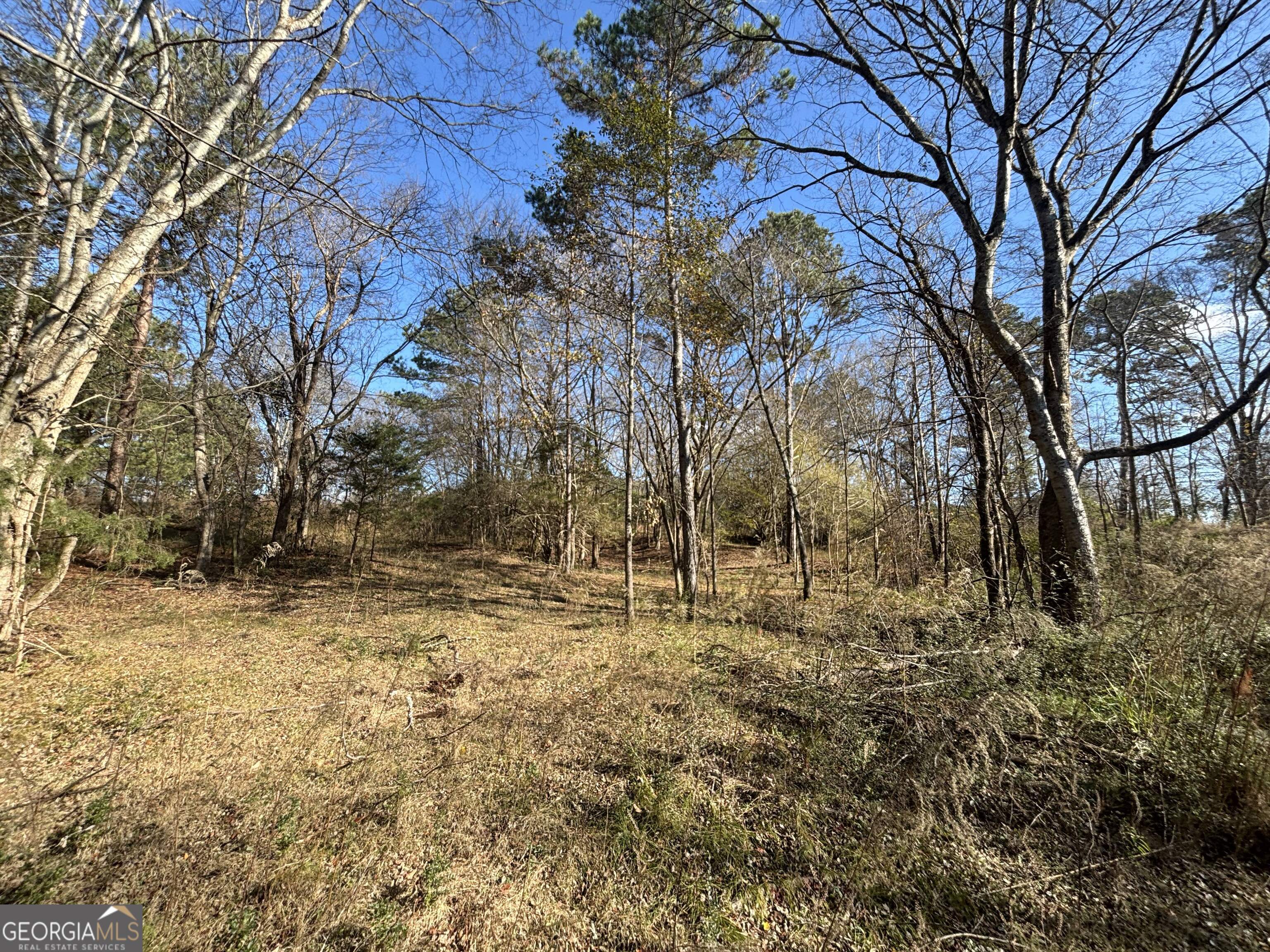 0 Oconee Road Buckhead, GA 30625 - Photo 11 of 14