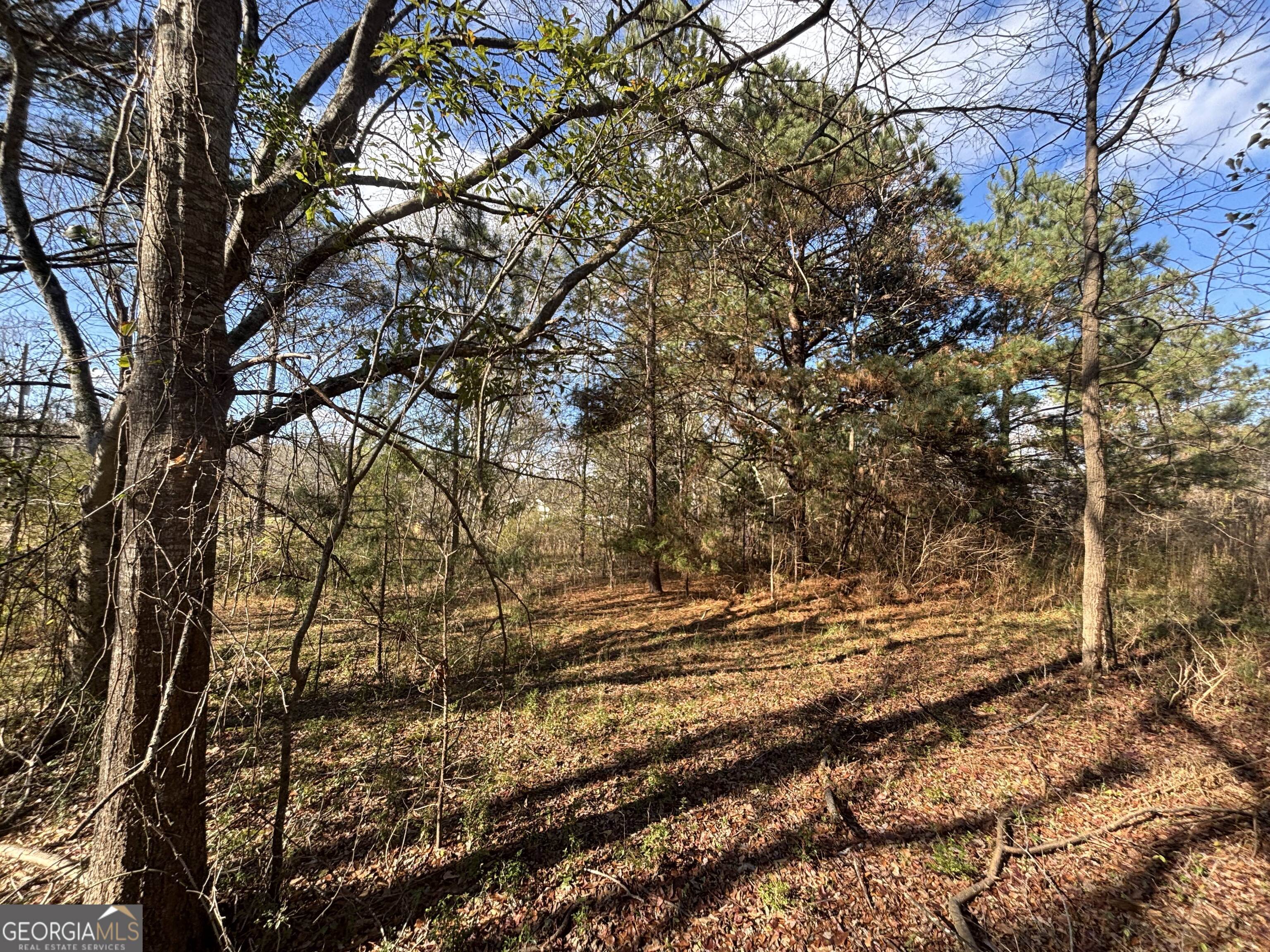 0 Oconee Road Buckhead, GA 30625 - Photo 12 of 14