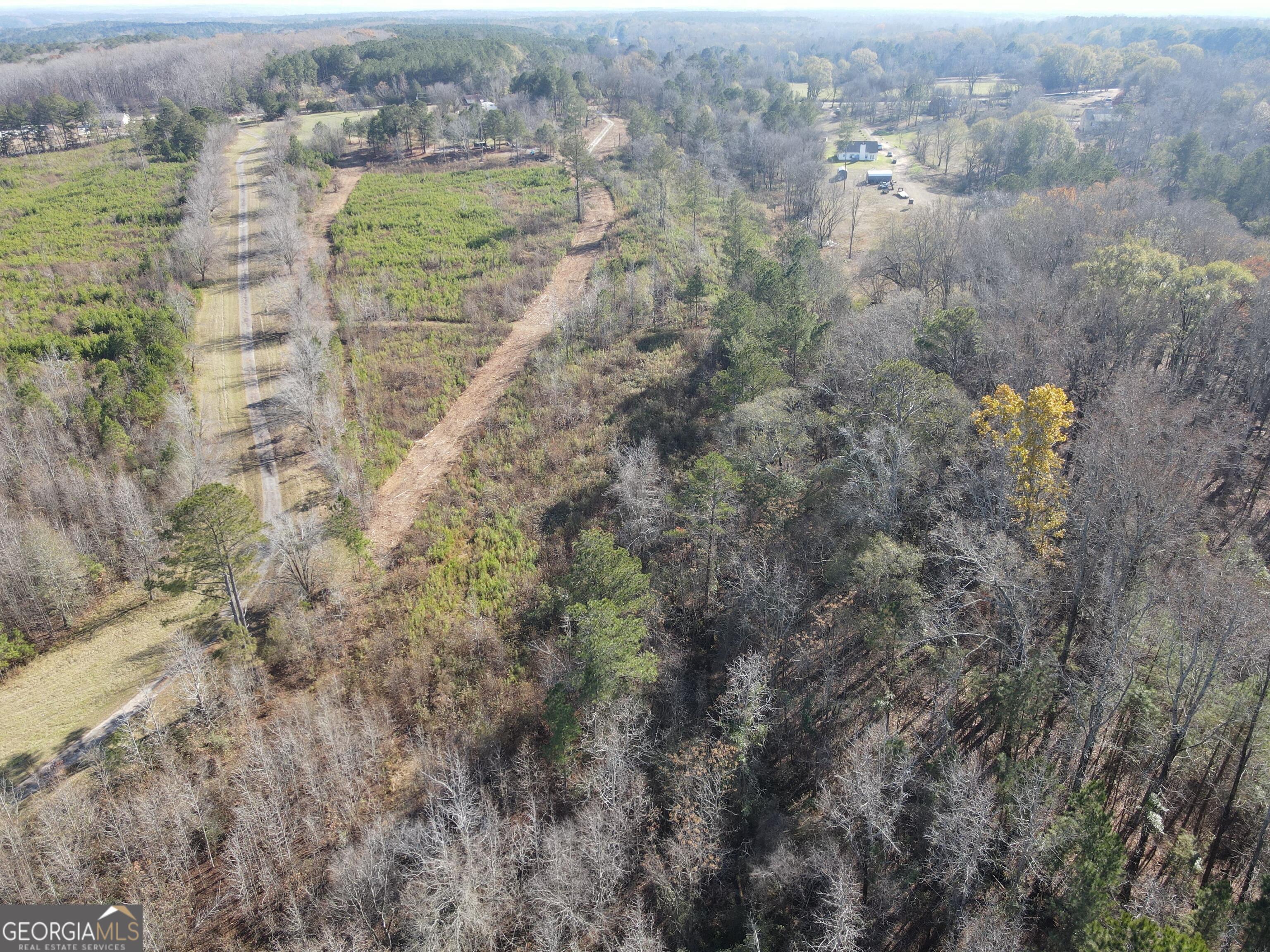 0 Oconee Road Buckhead, GA 30625 - Photo 5 of 14