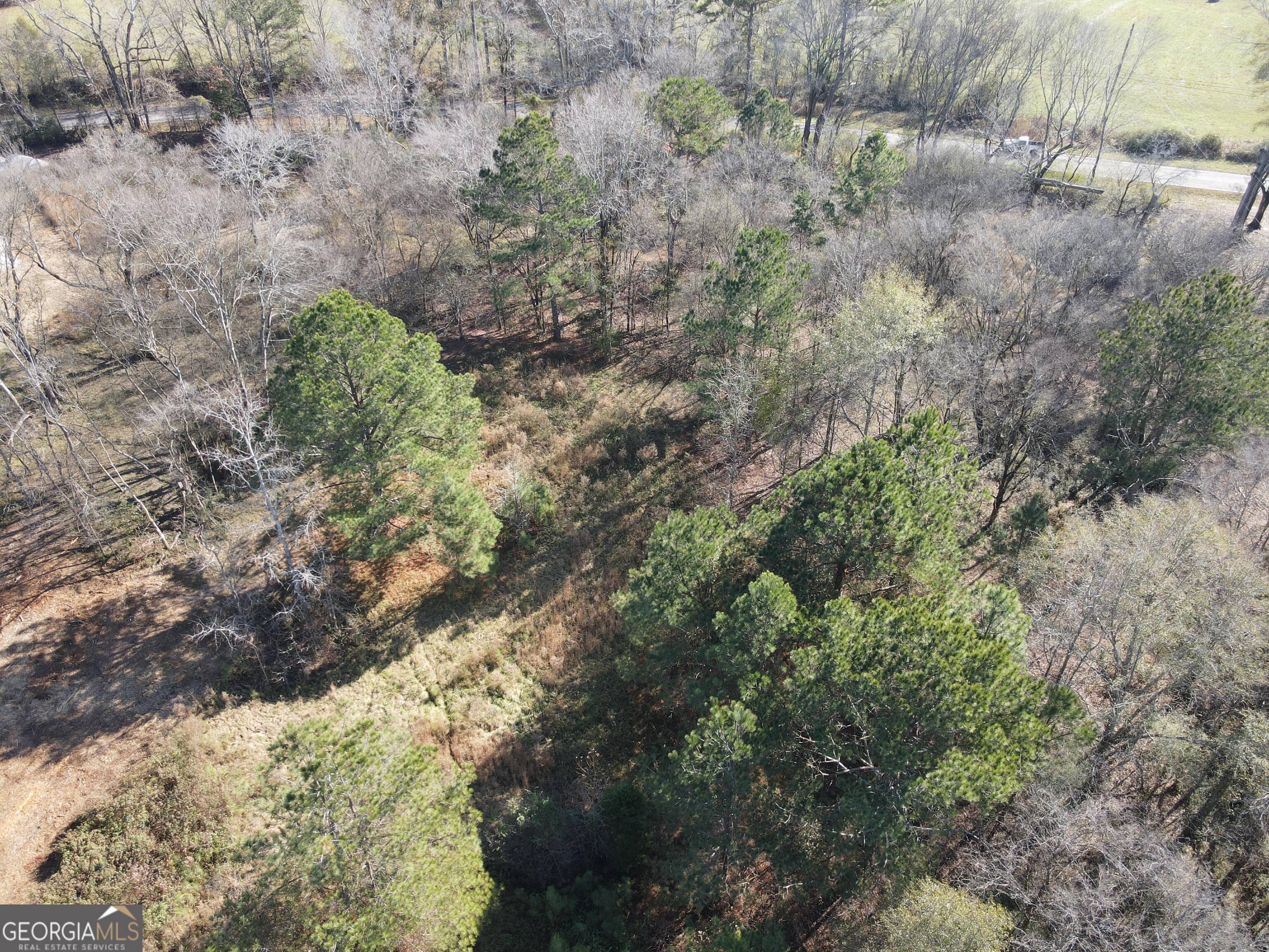 0 Oconee Road Buckhead, GA 30625 - Photo 8 of 14