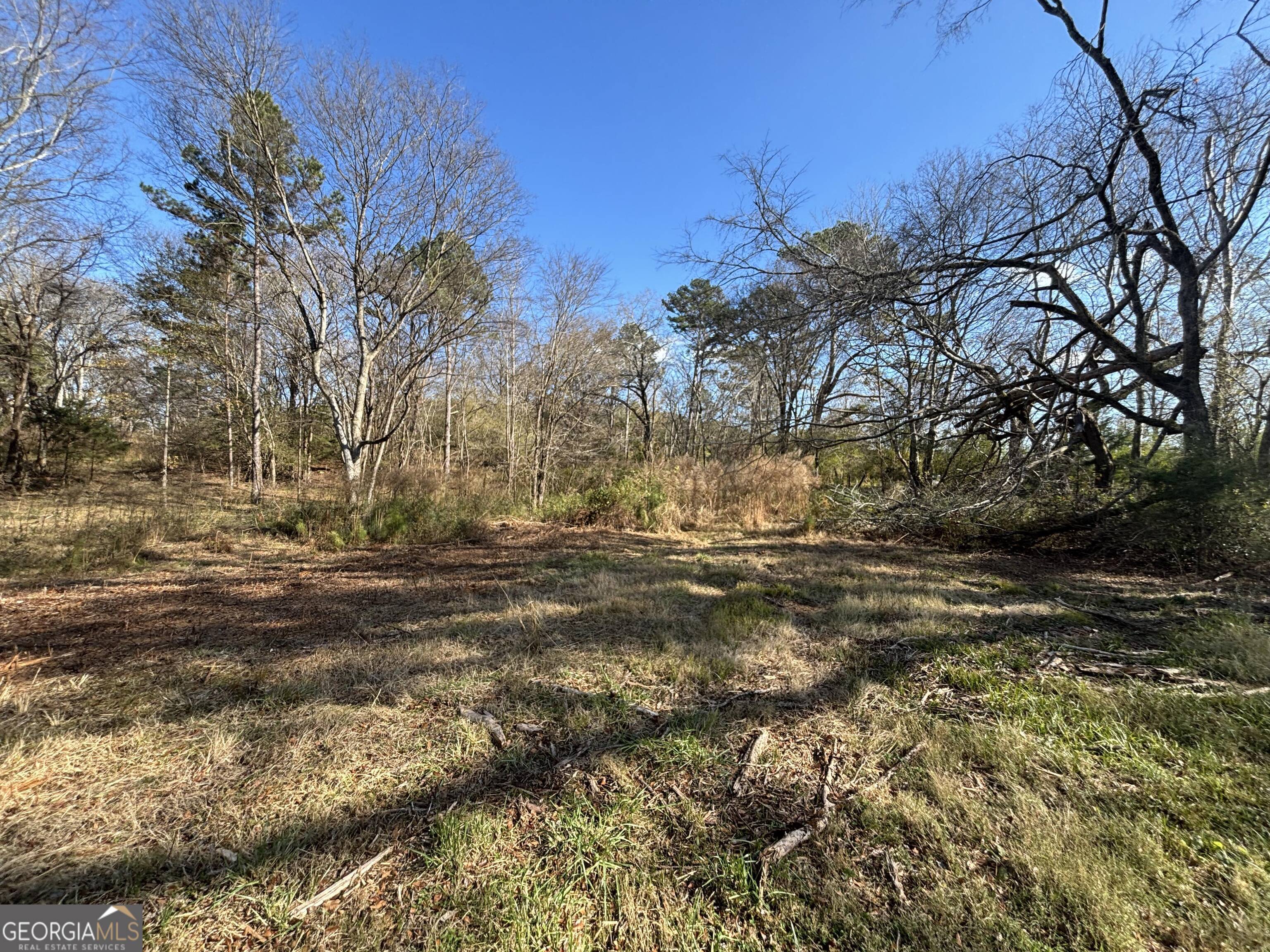 0 Oconee Road Buckhead, GA 30625 - Photo 9 of 14