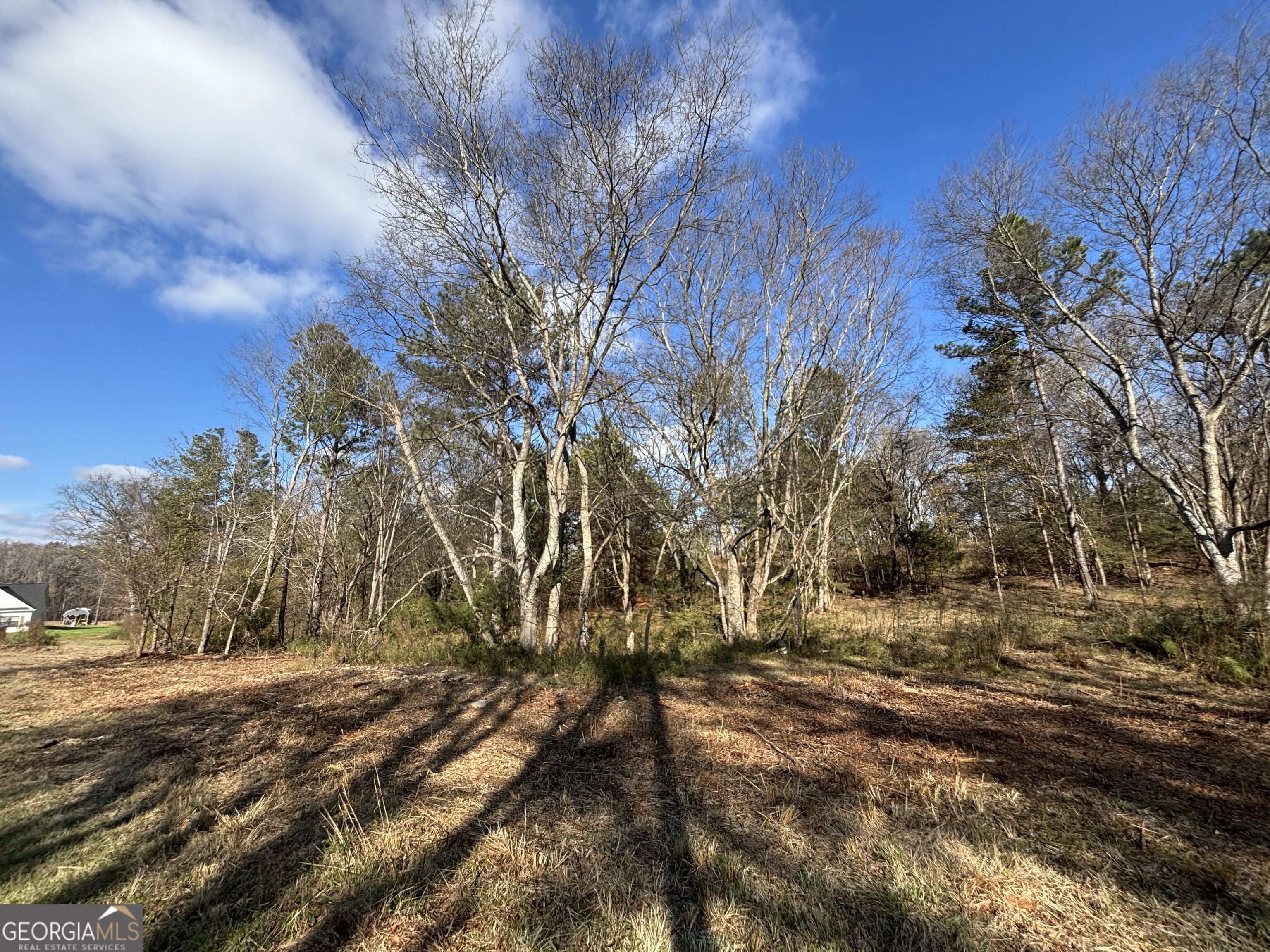 0 Oconee Road Buckhead, GA 30625 - Photo 10 of 14