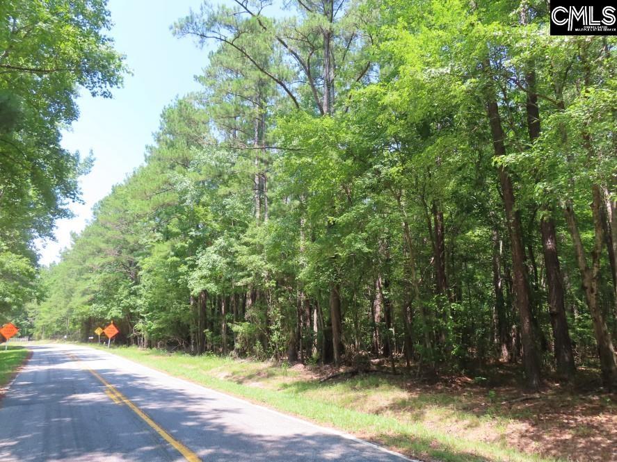 0 Park Road Ridgeway, SC 29130 - Photo 3 of 47