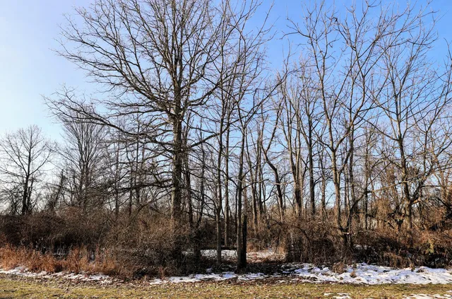 $899,000 | 1767 Flanders Road, Charlotte, MI 48813