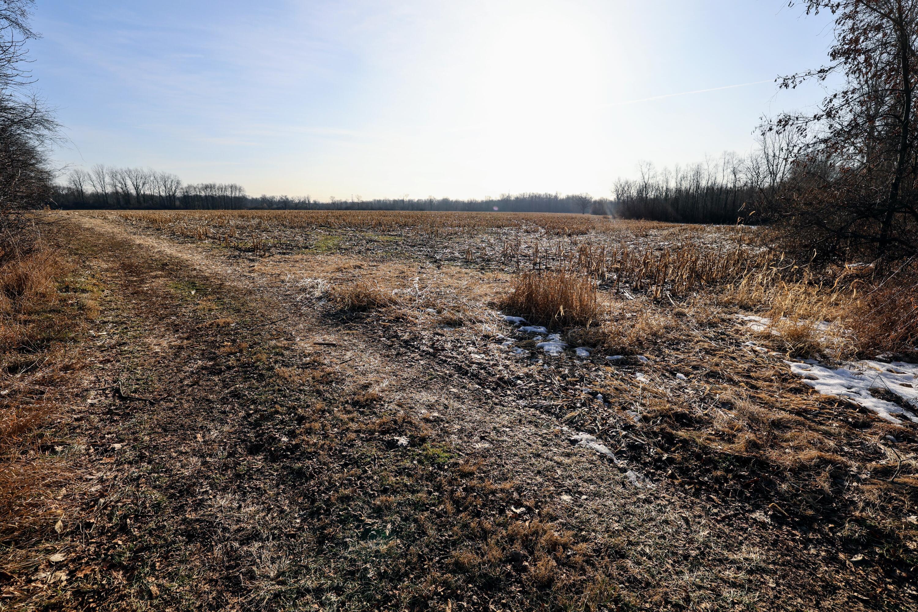 1767 Flanders Road Charlotte, MI 48813 - Photo 12 of 82 13