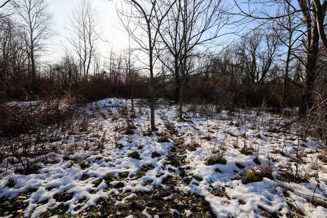 $899,000 | 1767 Flanders Road, Charlotte, MI 48813