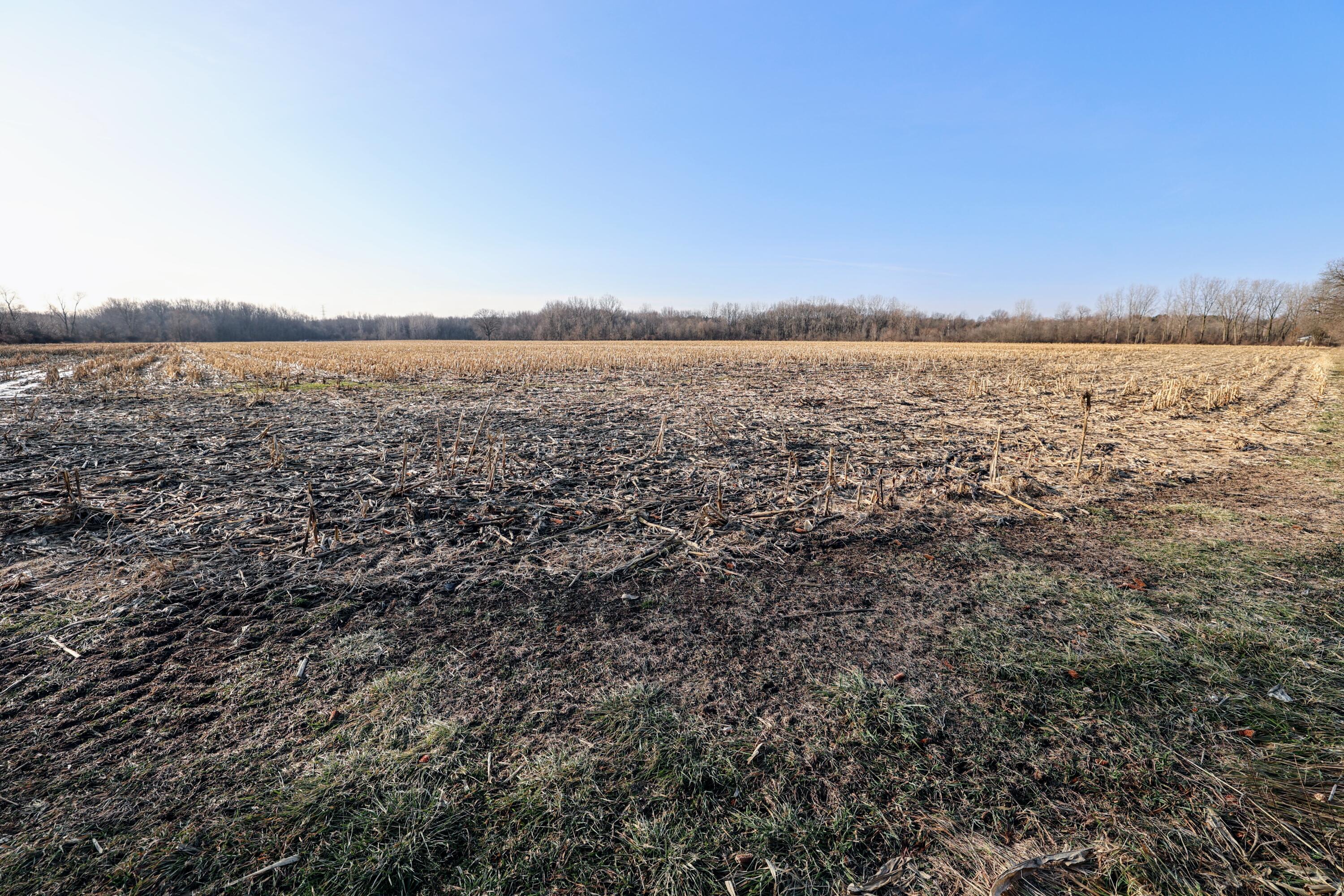 1767 Flanders Road Charlotte, MI 48813 - Photo 14 of 82 15