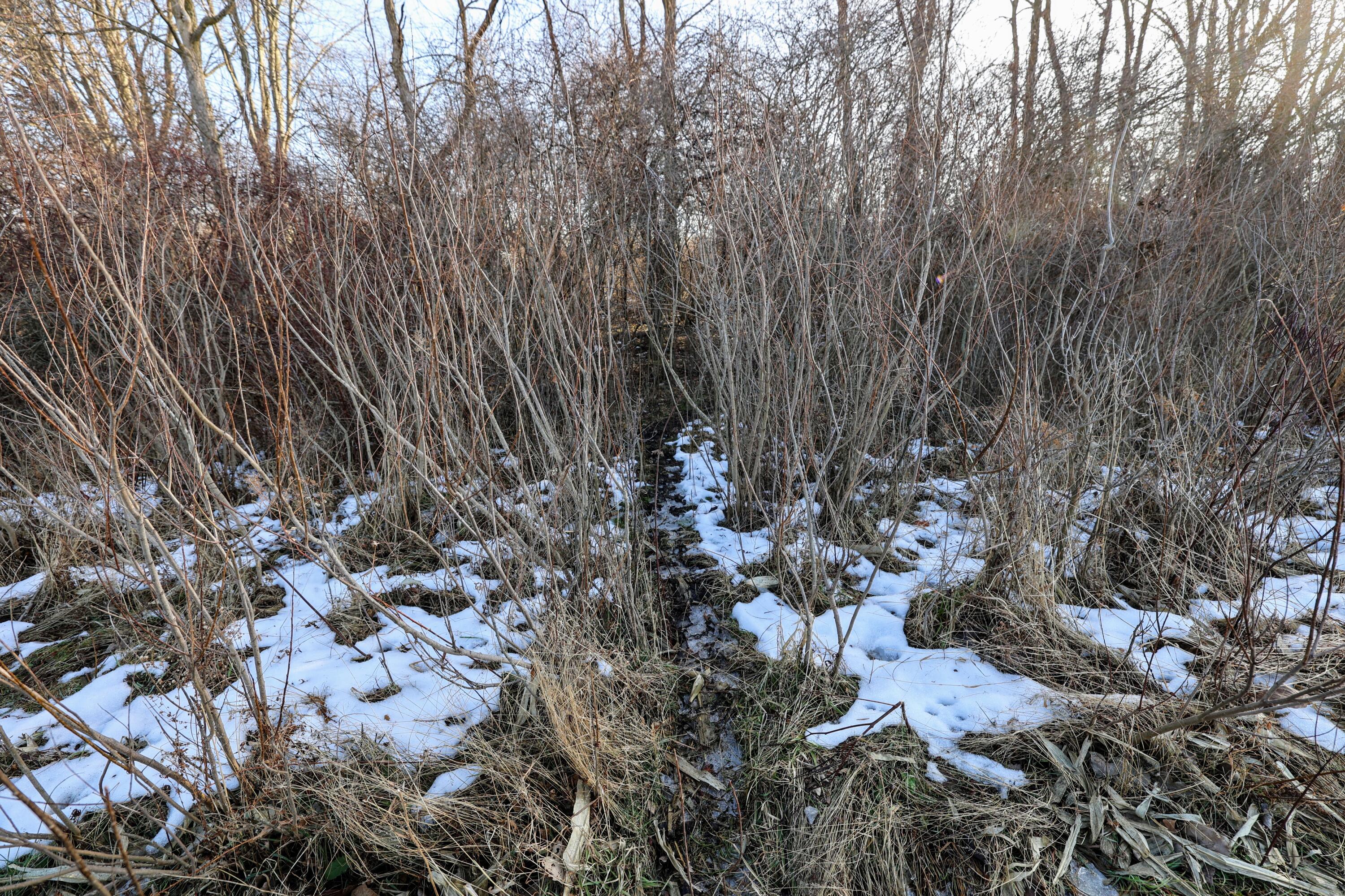 1767 Flanders Road Charlotte, MI 48813 - Photo 15 of 82 16