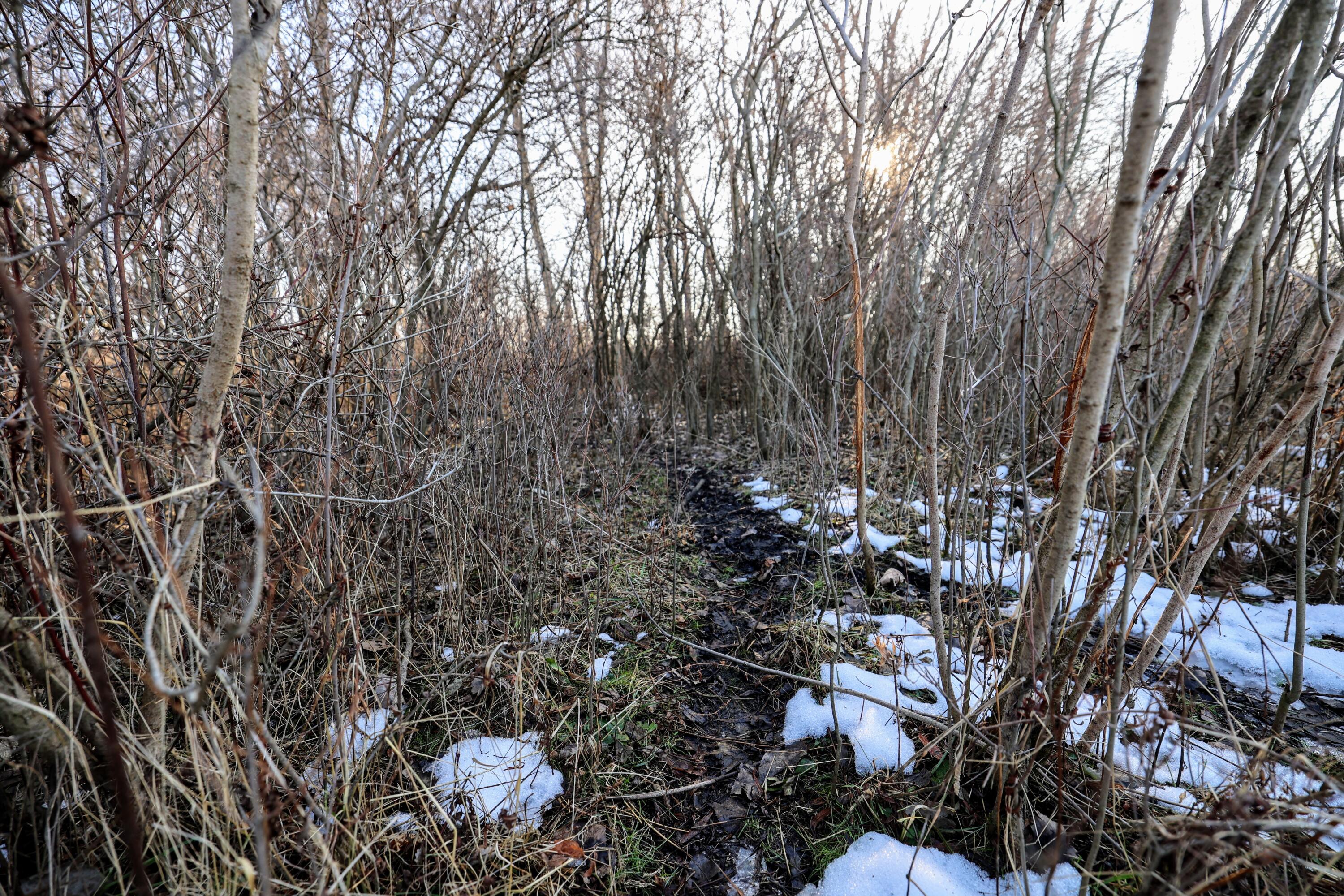 1767 Flanders Road Charlotte, MI 48813 - Photo 16 of 82 17