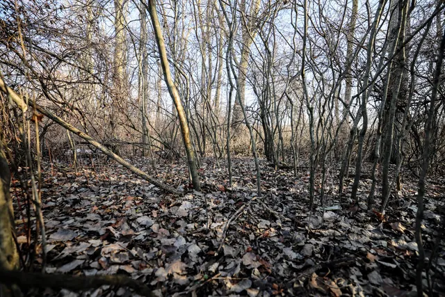 $899,000 | 1767 Flanders Road, Charlotte, MI 48813