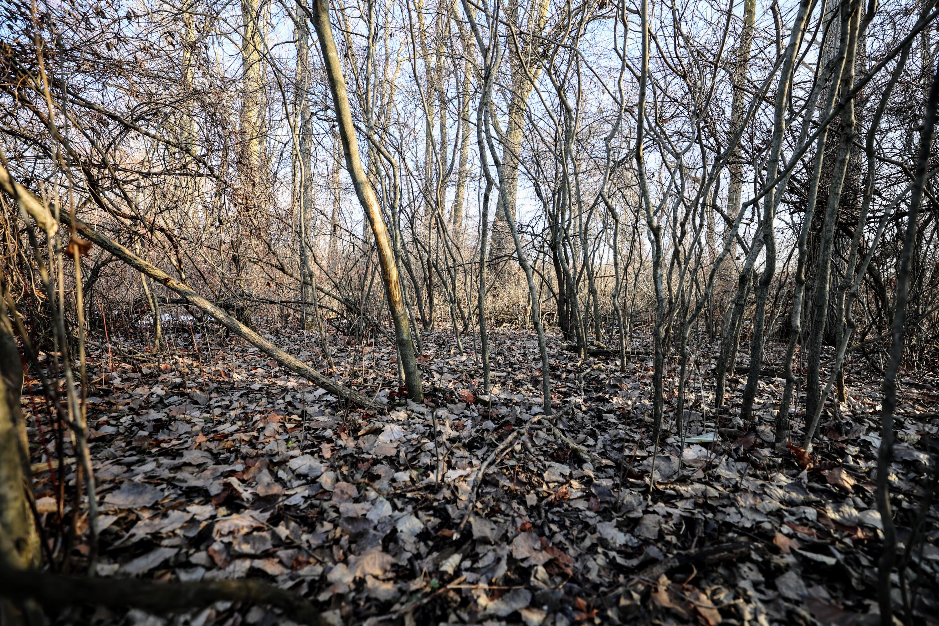 1767 Flanders Road Charlotte, MI 48813 - Photo 17 of 82 18