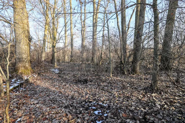 $899,000 | 1767 Flanders Road, Charlotte, MI 48813