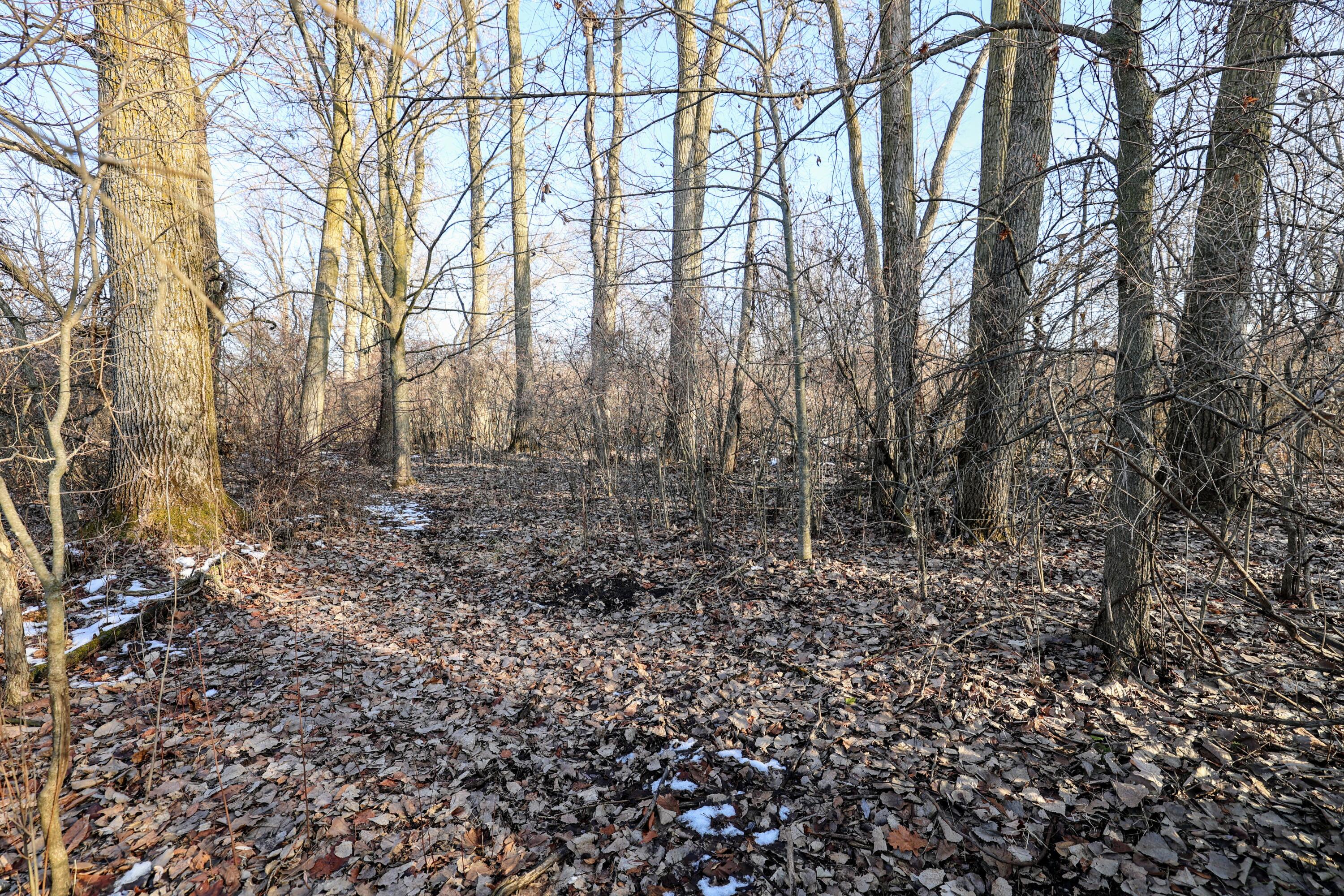 1767 Flanders Road Charlotte, MI 48813 - Photo 18 of 82 19