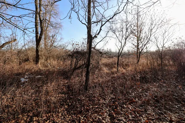 $899,000 | 1767 Flanders Road, Charlotte, MI 48813