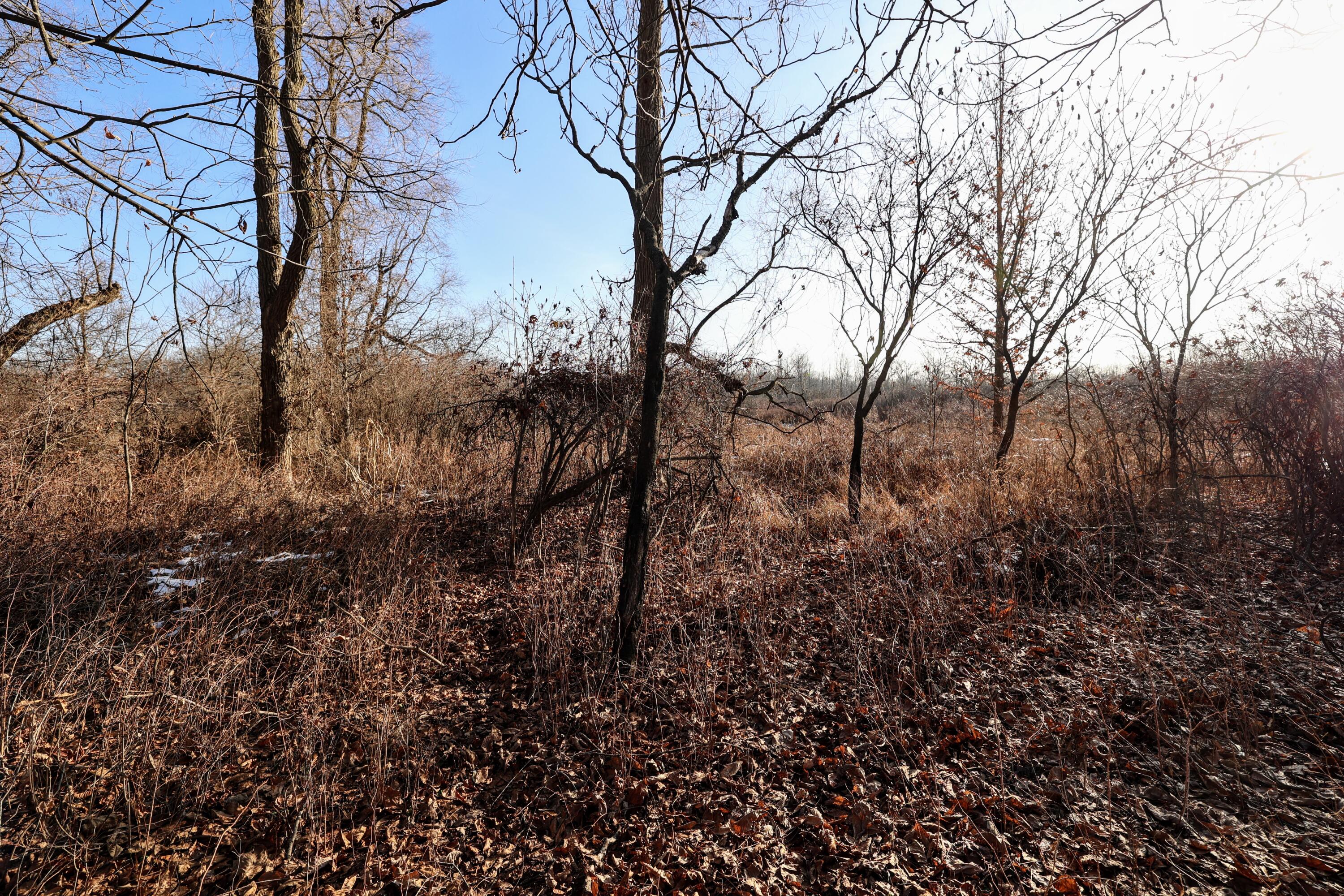 1767 Flanders Road Charlotte, MI 48813 - Photo 19 of 82 20