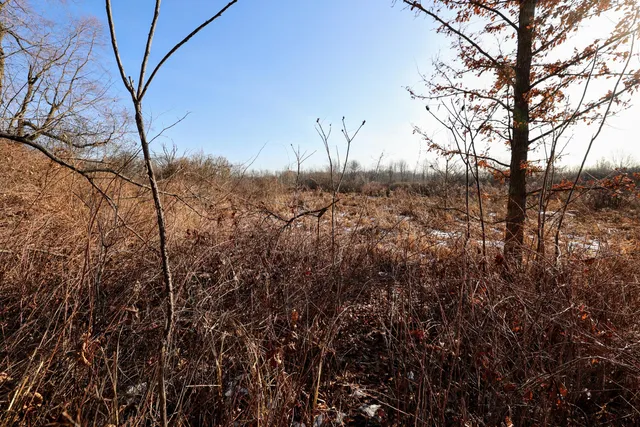 $899,000 | 1767 Flanders Road, Charlotte, MI 48813