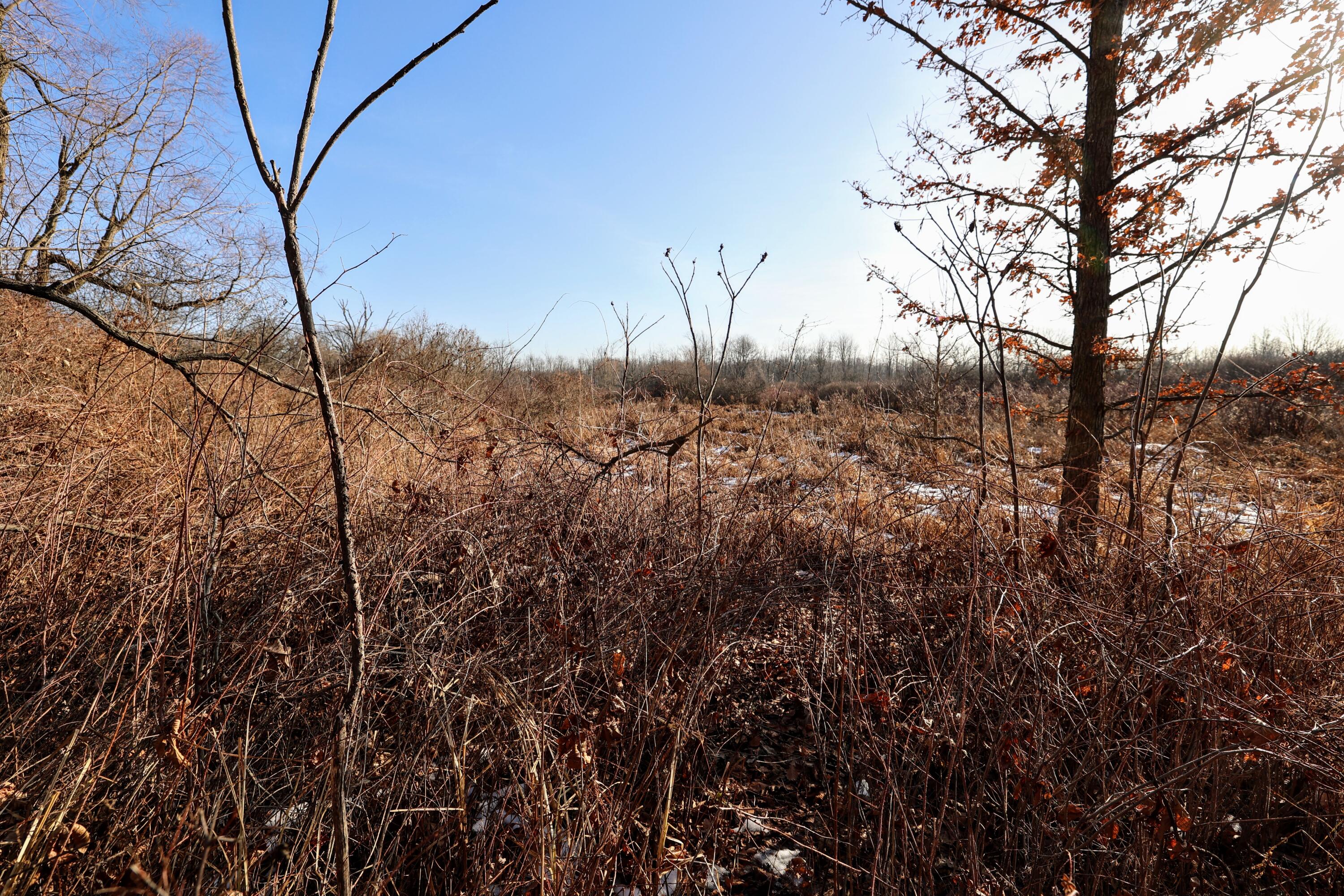 1767 Flanders Road Charlotte, MI 48813 - Photo 20 of 82 21